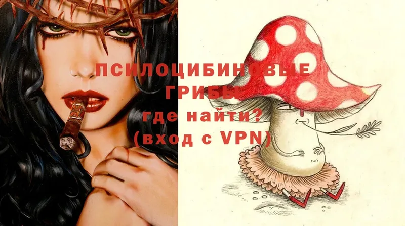 Псилоцибиновые грибы Psilocybe  Ирбит 